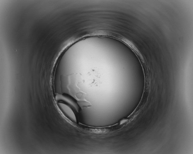 X0000086320805200704202021