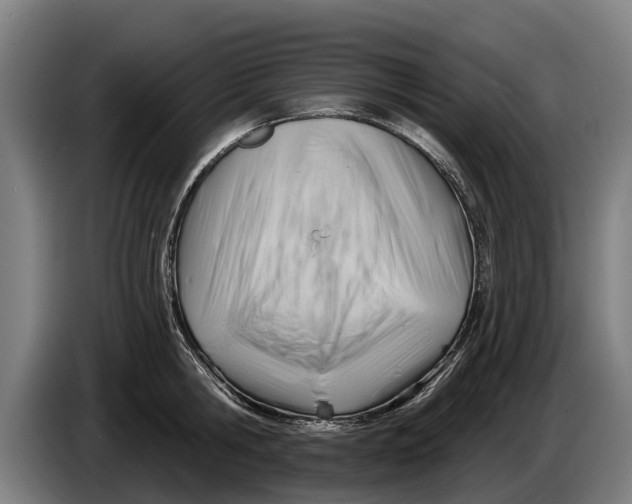 X0000086320806200704202021