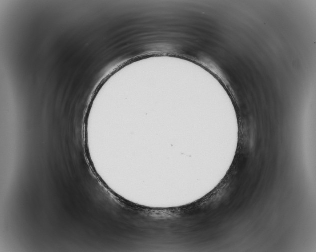 X0000086320807200704202021