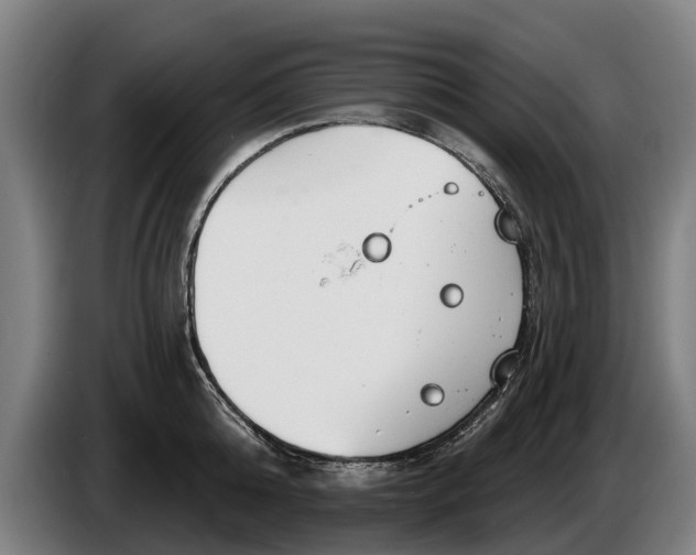 X0000086320808200704202021