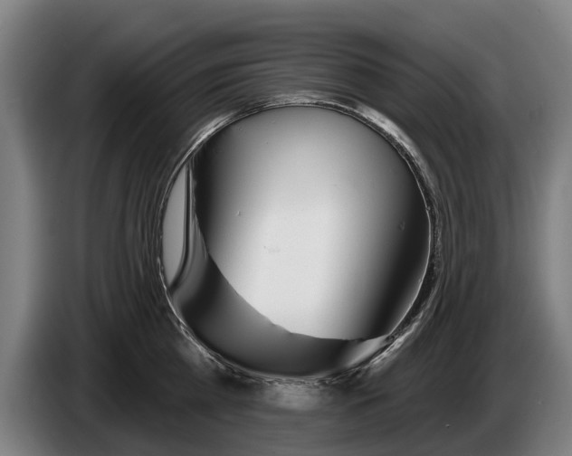 X0000086320809200704202021