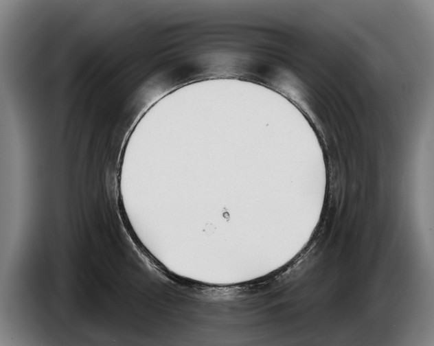 X0000086320810200704202021