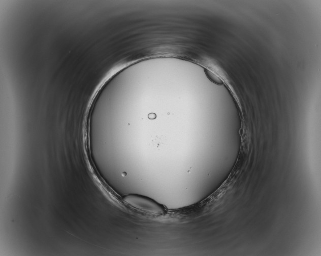 X0000086320811200704202021