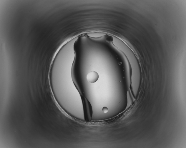 X0000086320813200704202021