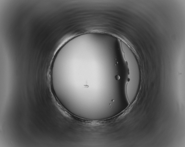 X0000086320814200704202021