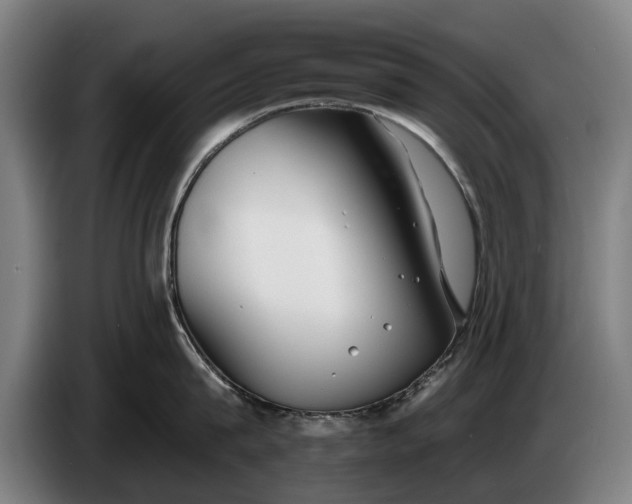 X0000086320815200704202020