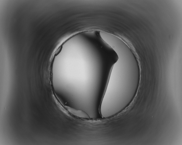 X0000086320816200704202020