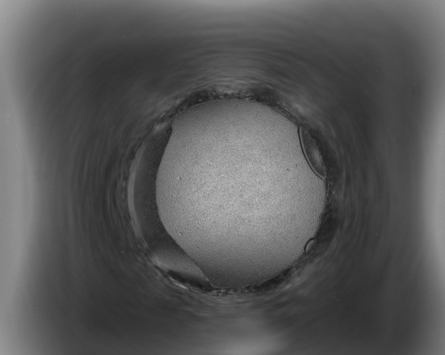 X0000086320817200704202020