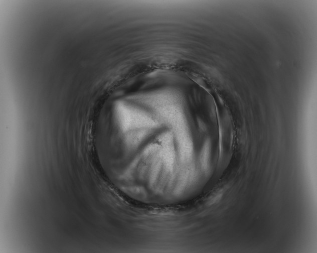 X0000086320818200704202020