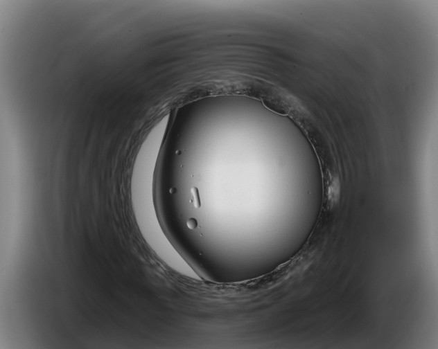 X0000086320819200704202020