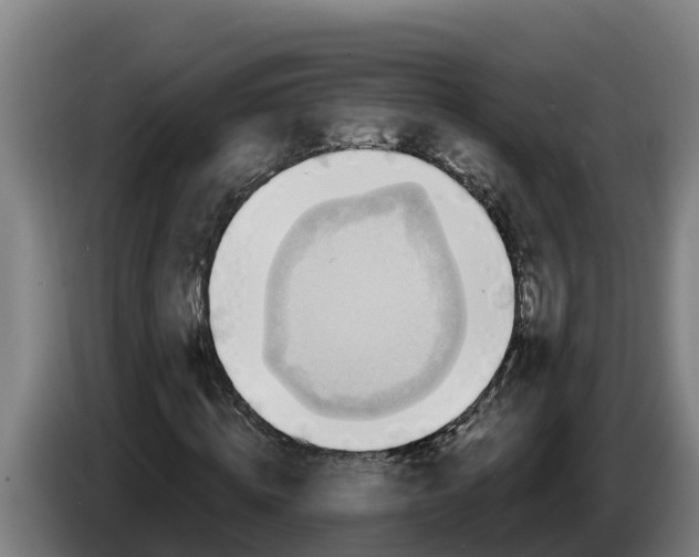 X0000086320820200704202020