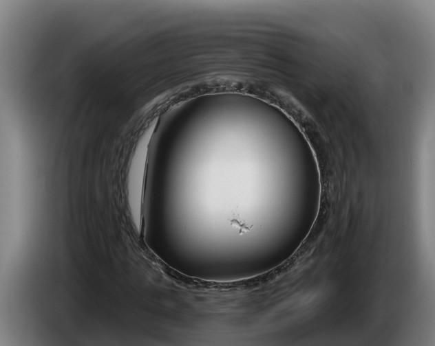 X0000086320821200704202020