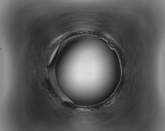 X0000086320822200704202020