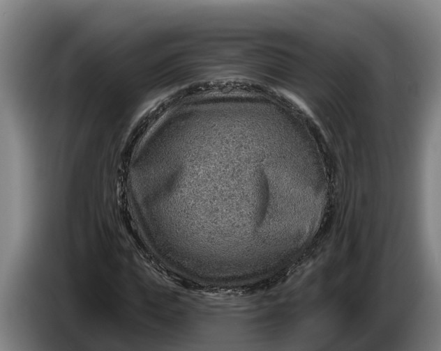 X0000086320823200704202020