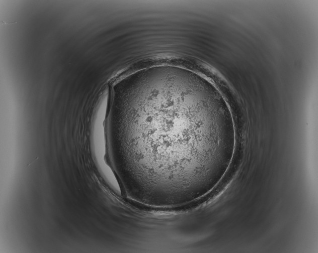 X0000086320825200704202020