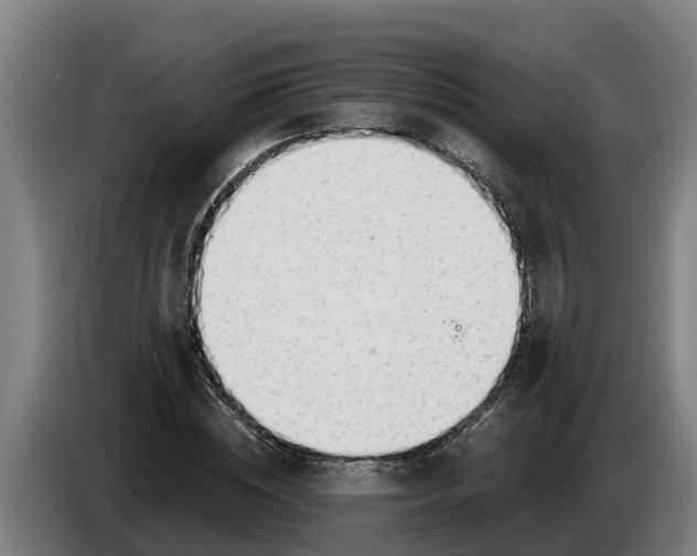 X0000086320828200704202020