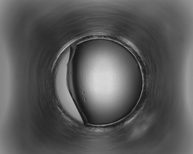 X0000086320829200704202020