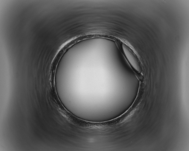 X0000086320830200704202020