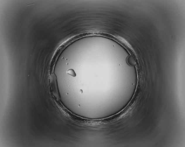 X0000086320831200704202020