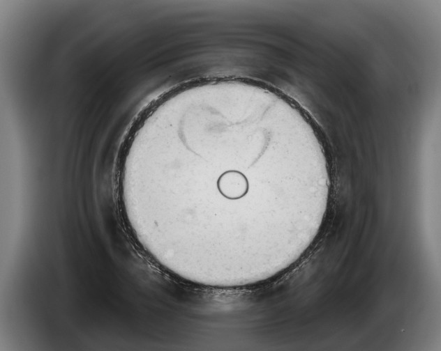 X0000086320832200704202020