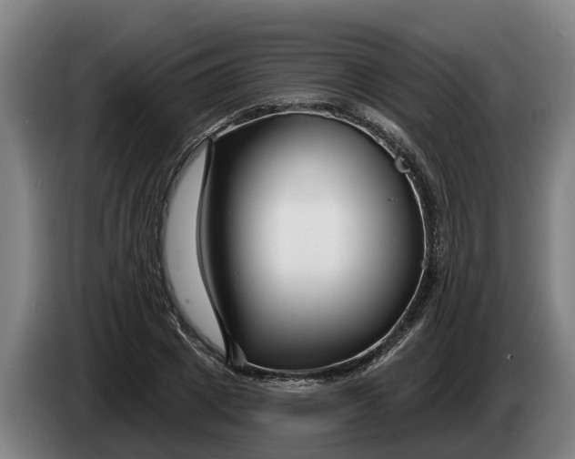 X0000086320833200704202020