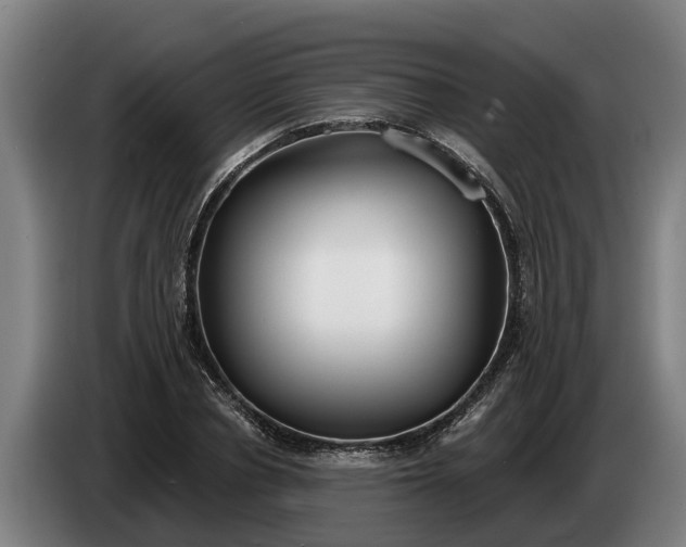 X0000086320834200704202020