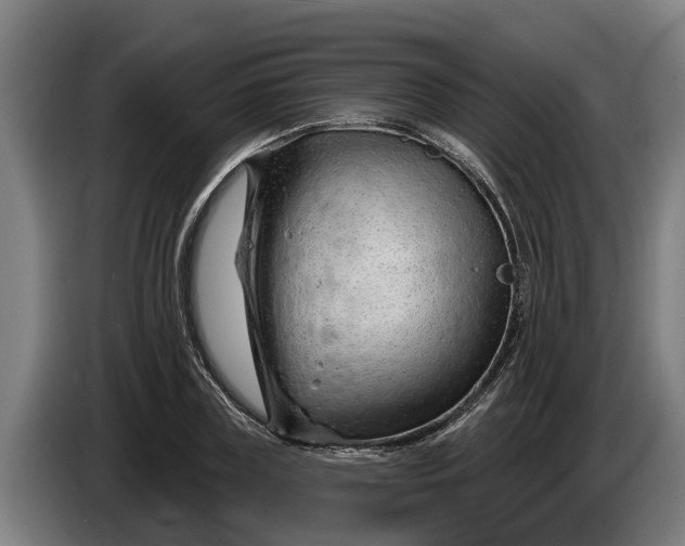 X0000086320835200704202020