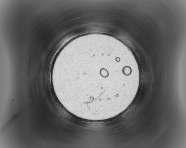 X0000086320836200704202020