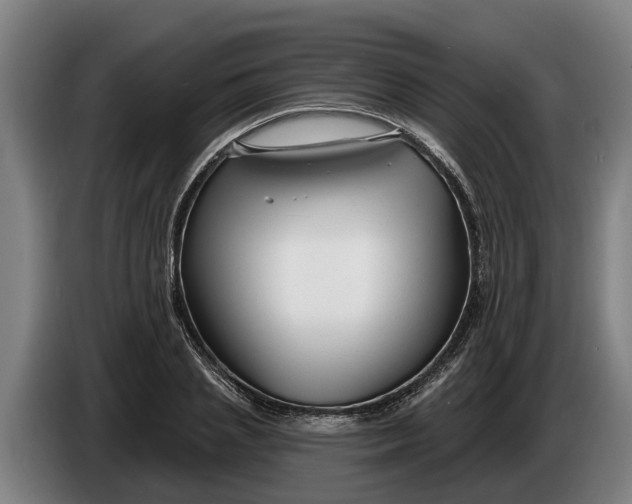 X0000086320837200704202020