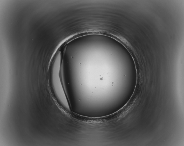 X0000086320838200704202020