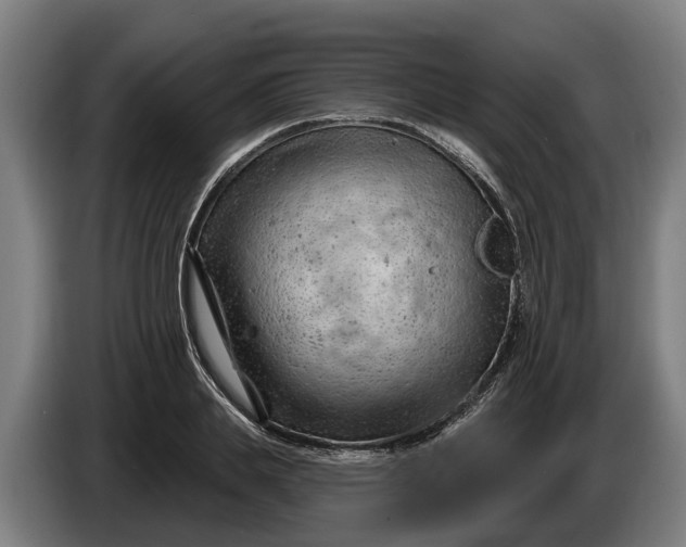 X0000086320839200704202020