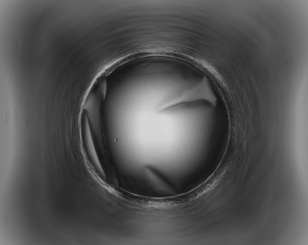 X0000086320840200704202020