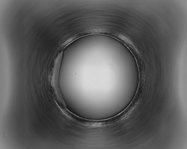 X0000086320841200704202020