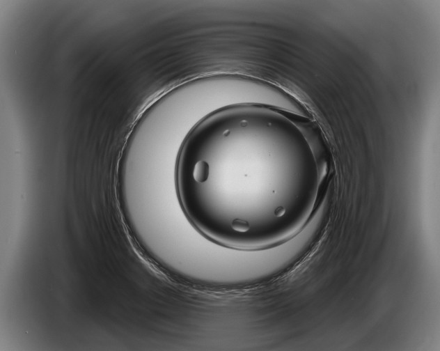 X0000086320842200704202020