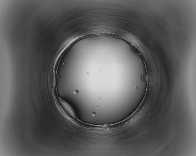 X0000086320844200704202020