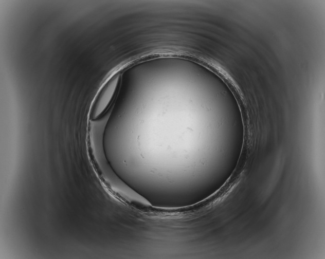 X0000086320845200704202020