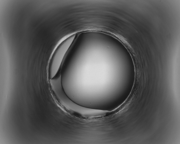 X0000086320846200704202020