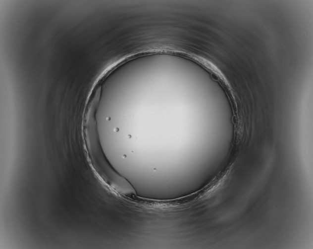 X0000086320847200704202020