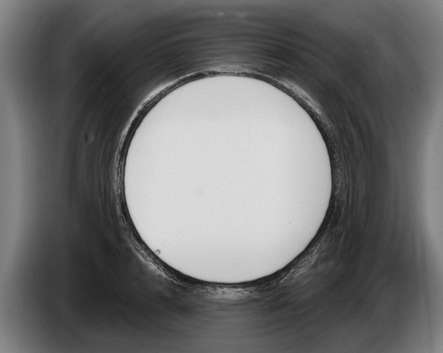 X0000086320848200704202020