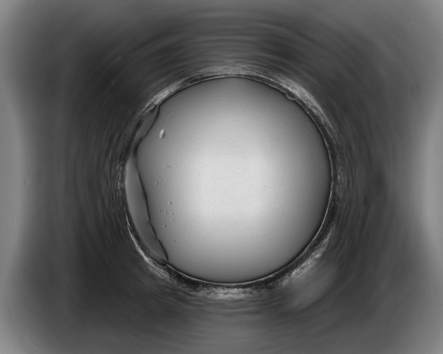 X0000086320849200704202020