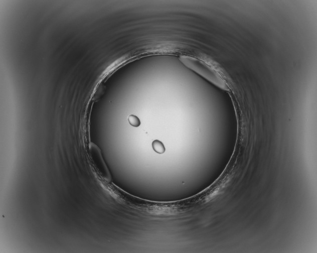 X0000086320850200704202020