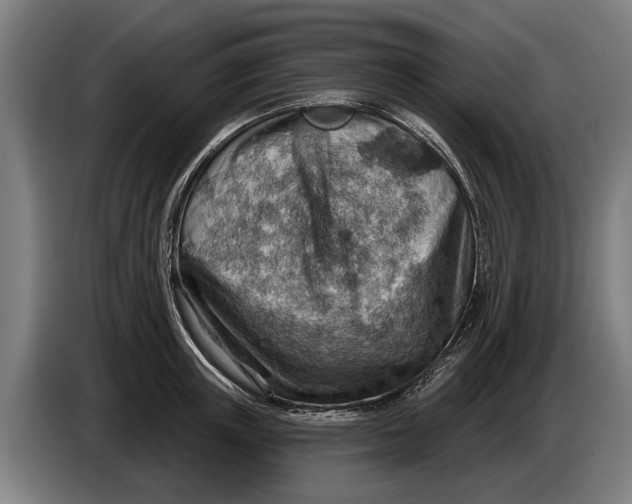 X0000086320851200704202020