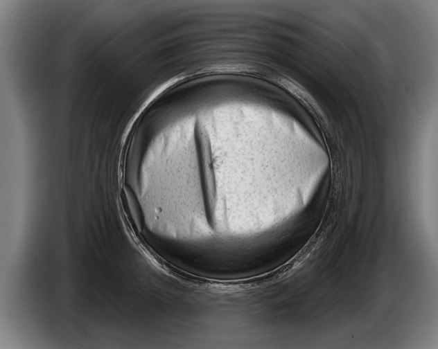 X0000086320852200704202020