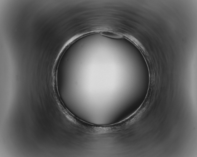 X0000086320854200704202020