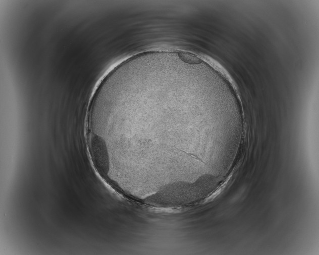 X0000086320855200704202020