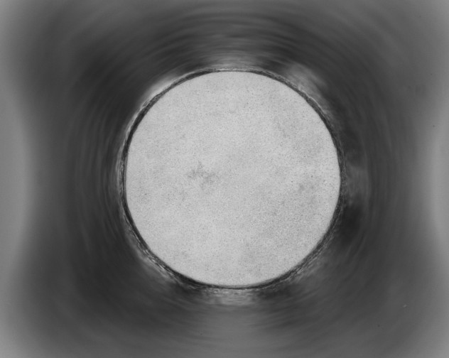 X0000086320856200704202020