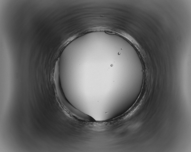 X0000086320857200704202020