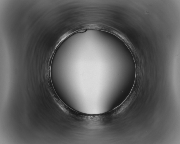 X0000086320858200704202020