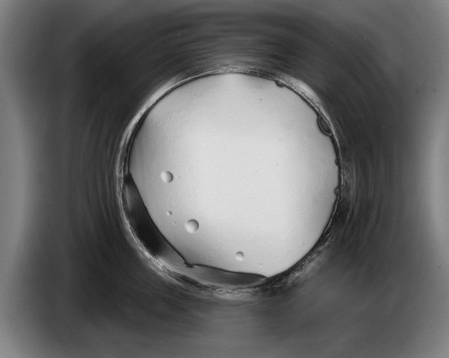 X0000086320859200704202020