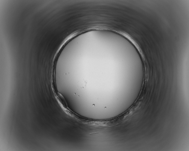 X0000086320861200704202020